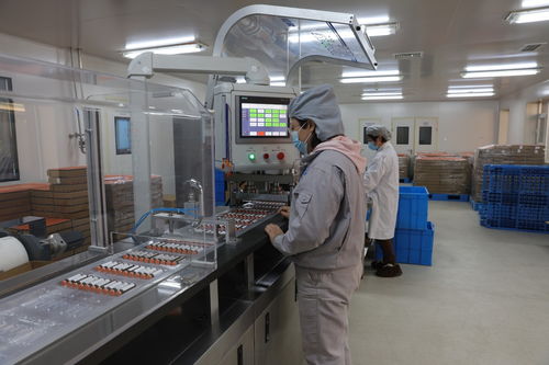 河北定興 科技特派團為企業發展添動能，加速技術推廣