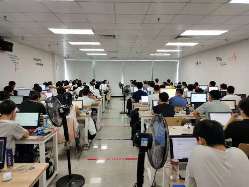 新起點，新夢想 在黑馬程序員技術社區揚帆起航