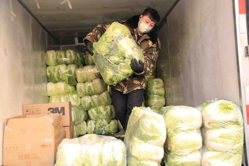 大商沈陽集團穩物價保民生，以低于進價供應蔬菜等生活必需品